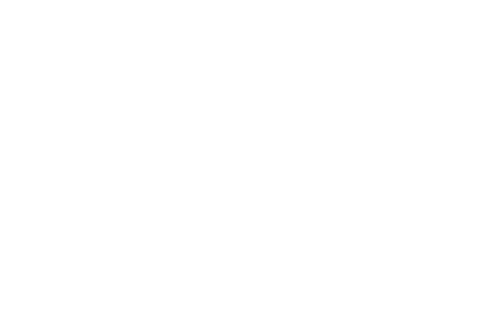ABC Inc
