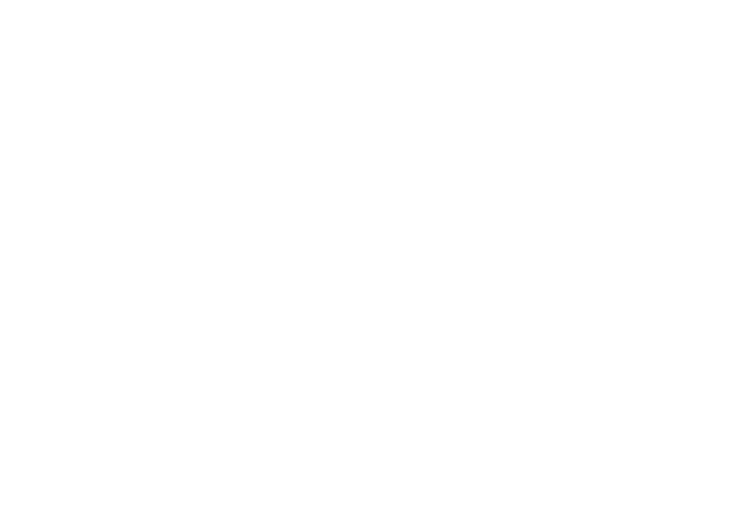 Mozak